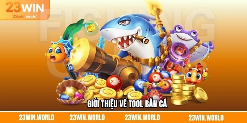Khái niệm sơ lược tool săn cá