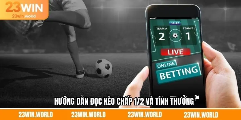 Cách đọc kèo chấp 0.5 và tính thưởng chuẩn